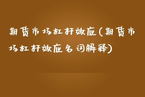 期货市场杠杆效应(期货市场杠杆效应名词解释)_https://www.liuyiidc.com_期货品种_第1张