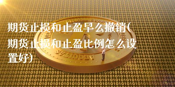 期货止损和止盈早么撤销(期货止损和止盈比例怎么设置好)_https://www.liuyiidc.com_期货软件_第1张