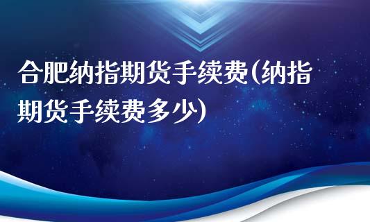 合肥纳指期货手续费(纳指期货手续费多少)_https://www.liuyiidc.com_期货理财_第1张