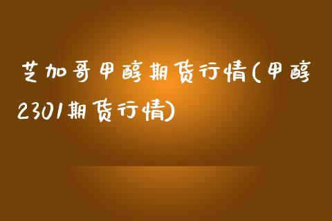 芝加哥甲醇期货行情(甲醇2301期货行情)_https://www.liuyiidc.com_期货理财_第1张