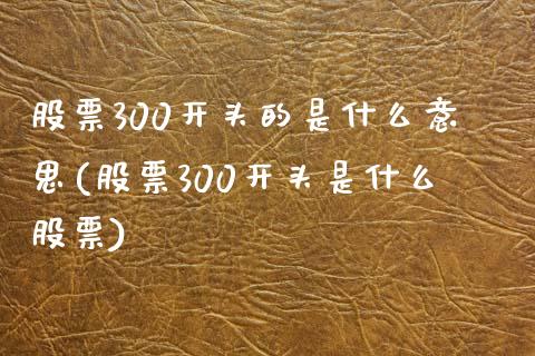 股票300开头的是什么意思(股票300开头是什么股票)_https://www.liuyiidc.com_股票理财_第1张