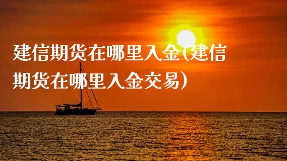 建信期货在哪里入金(建信期货在哪里入金交易)_https://www.liuyiidc.com_期货品种_第1张