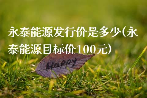 永泰能源发行价是多少(永泰能源目标价100元)_https://www.liuyiidc.com_期货理财_第1张