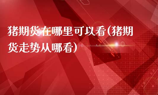 猪期货在哪里可以看(猪期货走势从哪看)_https://www.liuyiidc.com_期货知识_第1张