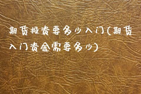 期货投资要多少入门(期货入门资金需要多少)_https://www.liuyiidc.com_期货交易所_第1张