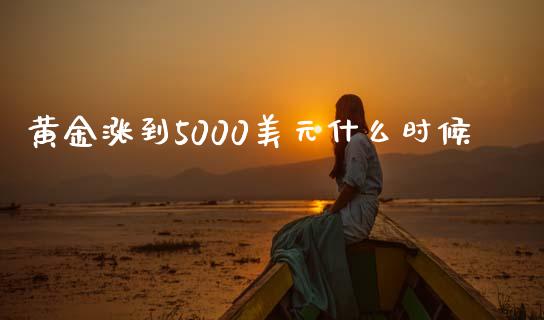 黄金涨到5000美元什么时候_https://www.liuyiidc.com_财经要闻_第1张