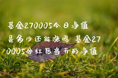 基金270005今日净值是多少还能涨吗 基金270005分红后当天的净值