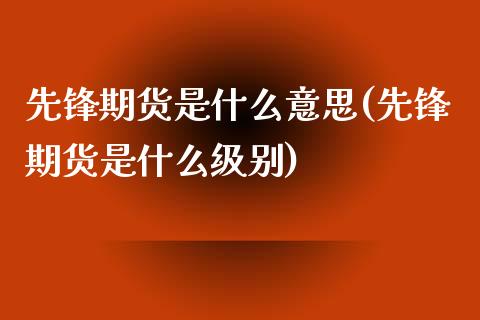 先锋期货是什么意思(先锋期货是什么级别)_https://www.liuyiidc.com_理财品种_第1张