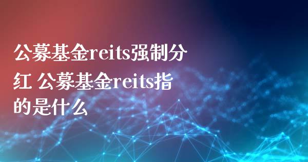 公募基金reits强制分红 公募基金reits指的是什么_https://www.liuyiidc.com_基金理财_第1张