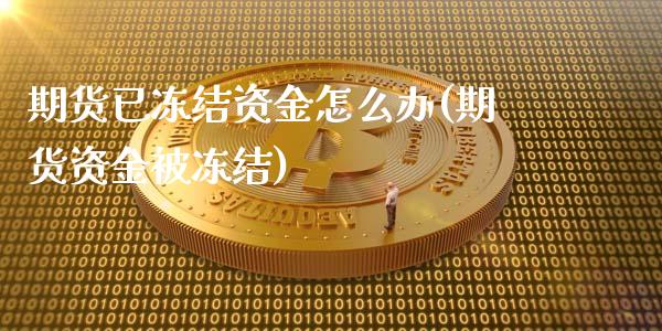 期货已冻结资金怎么办(期货资金被冻结)_https://www.liuyiidc.com_期货交易所_第1张