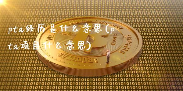 pta经历是什么意思(pta项目什么意思)_https://www.liuyiidc.com_期货理财_第1张