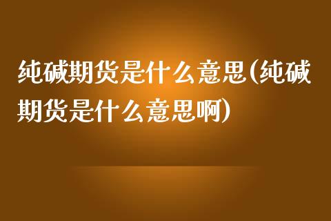 纯碱期货是什么意思(纯碱期货是什么意思啊)_https://www.liuyiidc.com_国际期货_第1张