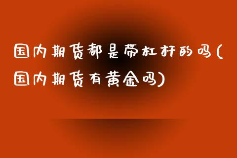 国内期货都是带杠杆的吗(国内期货有黄金吗)_https://www.liuyiidc.com_基金理财_第1张