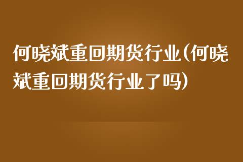 何晓斌重回期货行业(何晓斌重回期货行业了吗)_https://www.liuyiidc.com_国际期货_第1张