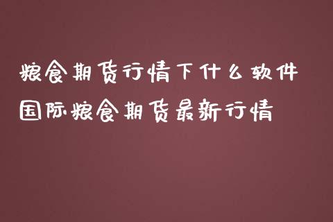 粮食期货行情下什么 国际粮食期货最新行情_https://www.liuyiidc.com_理财百科_第1张