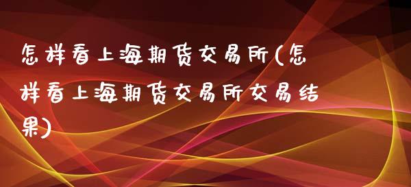 怎样看上海期货交易所(怎样看上海期货交易所交易结果)_https://www.liuyiidc.com_期货软件_第1张