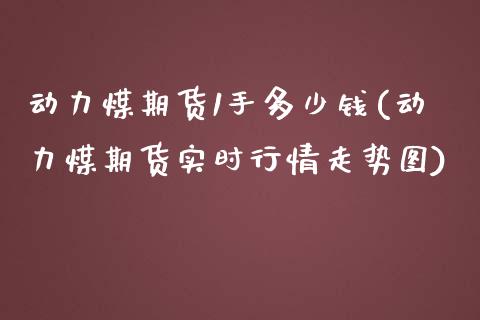 动力煤期货1手多少钱(动力煤期货实时行情走势图)_https://www.liuyiidc.com_期货直播_第1张