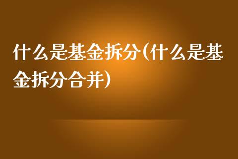 什么是基金拆分(什么是基金拆分合并)_https://www.liuyiidc.com_股票理财_第1张