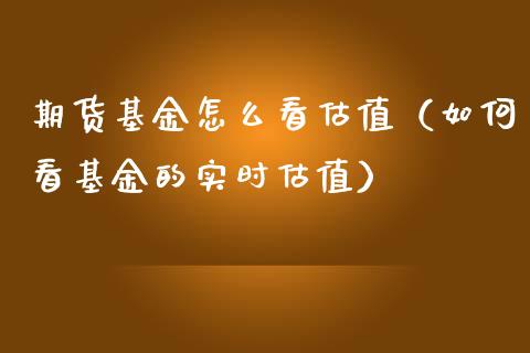 期货基金怎么看估值（如何看基金的实时估值）_https://www.liuyiidc.com_理财百科_第1张