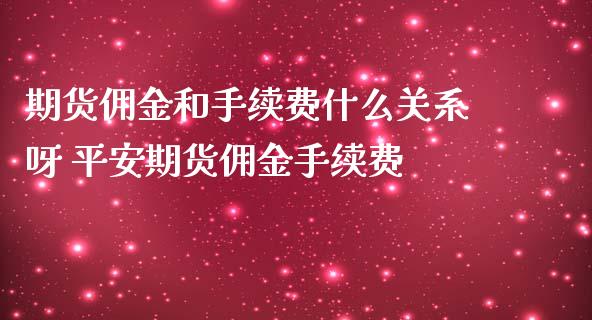 期货佣金和手续费什么关系呀 期货佣金手续费_https://www.liuyiidc.com_理财品种_第1张