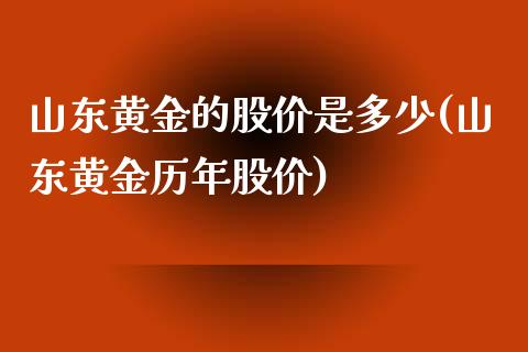 山东黄金的股价是多少(山东黄金历年股价)_https://www.liuyiidc.com_期货直播_第1张