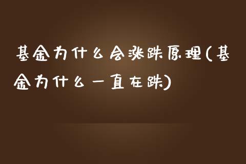 基金为什么会涨跌原理(基金为什么一直在跌)_https://www.liuyiidc.com_恒生指数_第1张