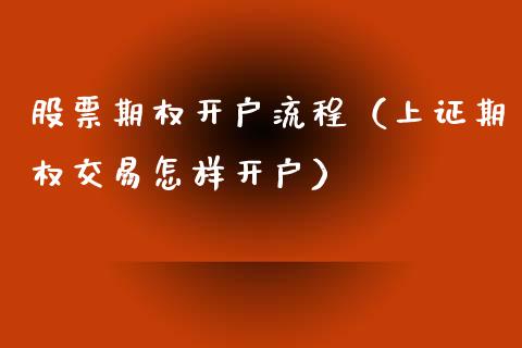 股票期权流程（上证期权交易怎样）_https://www.liuyiidc.com_股票理财_第1张