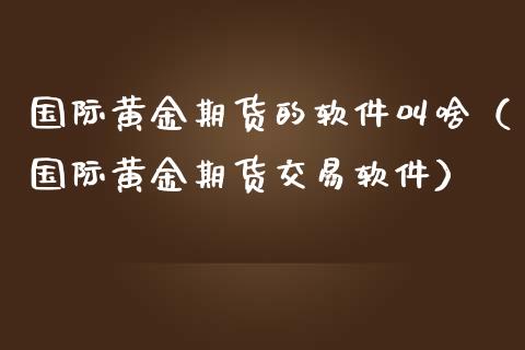 国际黄金期货的（国际黄金期货交易）_https://www.liuyiidc.com_恒生指数_第1张