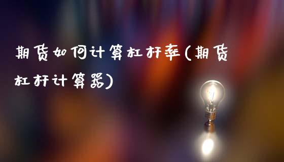 期货如何计算杠杆率(期货杠杆计算器)_https://www.liuyiidc.com_理财品种_第1张