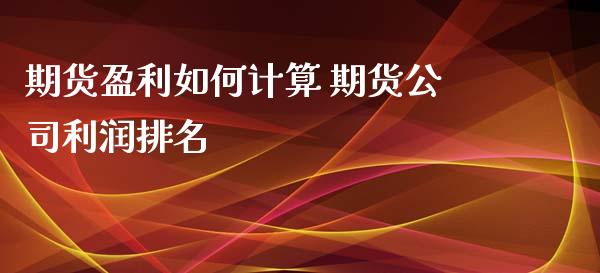 期货盈利如何计算 期货利润排名_https://www.liuyiidc.com_恒生指数_第1张