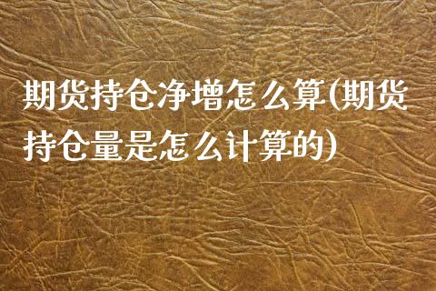 期货持仓净增怎么算(期货持仓量是怎么计算的)_https://www.liuyiidc.com_理财百科_第1张