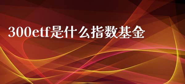 300etf是什么指数基金_https://www.liuyiidc.com_期货软件_第1张