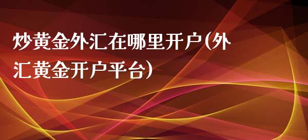 炒黄金外汇在哪里开户(外汇黄金开户平台)_https://www.liuyiidc.com_理财品种_第1张