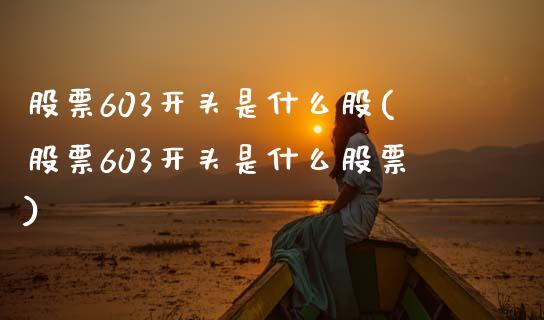 股票603开头是什么股(股票603开头是什么股票)_https://www.liuyiidc.com_股票理财_第1张