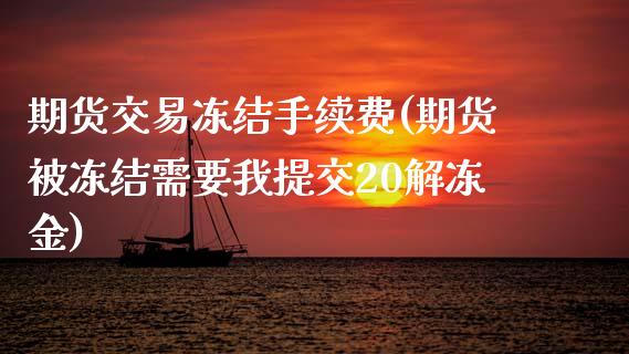 期货交易冻结手续费(期货被冻结需要我提交20解冻金)_https://www.liuyiidc.com_期货品种_第1张