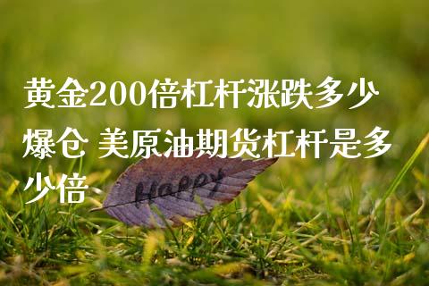 黄金200倍杠杆涨跌多少爆仓 美原油期货杠杆是多少倍_https://www.liuyiidc.com_黄金期货_第1张