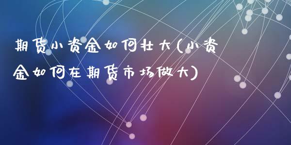 期货小资金如何壮大(小资金如何在期货市场做大)_https://www.liuyiidc.com_期货知识_第1张