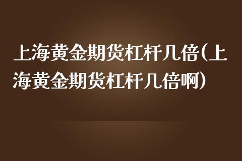 上海黄金期货杠杆几倍(上海黄金期货杠杆几倍啊)_https://www.liuyiidc.com_期货品种_第1张