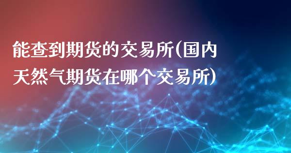 能查到期货的交易所(国内天然气期货在哪个交易所)_https://www.liuyiidc.com_期货理财_第1张