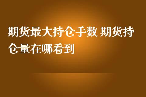 期货最大持仓手数 期货持仓量在哪看到_https://www.liuyiidc.com_理财百科_第1张