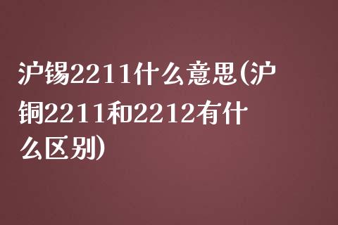 沪锡2211什么意思(沪铜2211和2212有什么区别)_https://www.liuyiidc.com_国际期货_第1张