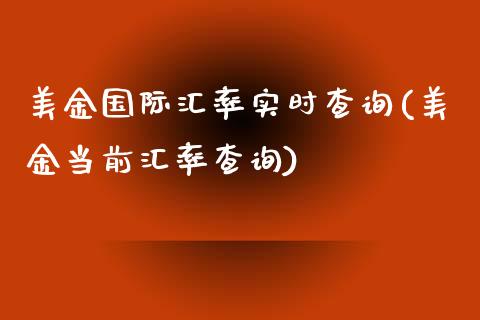 美金国际汇率实时查询(美金当前汇率查询)_https://www.liuyiidc.com_理财品种_第1张