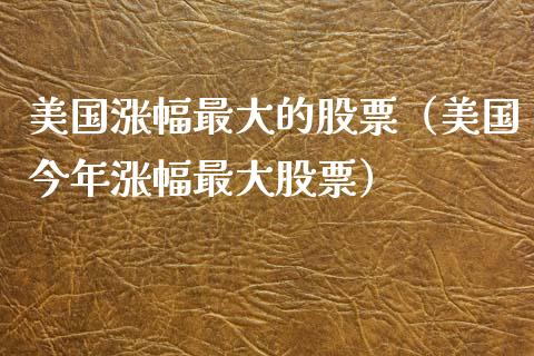 美国涨幅最大的股票（美国今年涨幅最大股票）_https://www.liuyiidc.com_股票理财_第1张