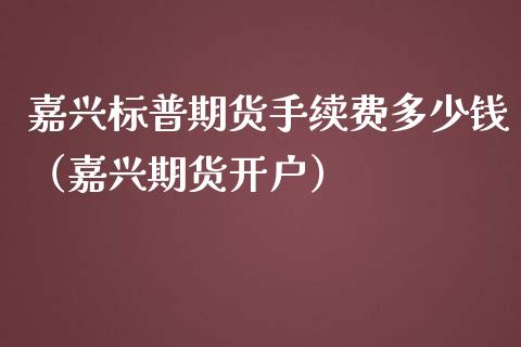 嘉兴标普期货手续费多少钱（嘉兴期货）_https://www.liuyiidc.com_期货直播_第1张