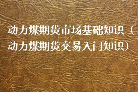 动力煤期货市场基础知识（动力煤期货交易入门知识）_https://www.liuyiidc.com_理财百科_第1张