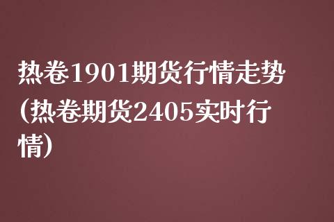 热卷1901期货行情走势(热卷期货2405实时行情)_https://www.liuyiidc.com_期货品种_第1张