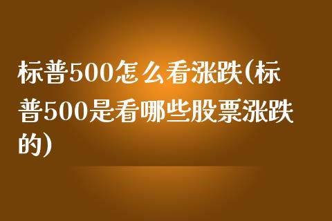 标普500怎么看涨跌(标普500是看哪些股票涨跌的)_https://www.liuyiidc.com_理财百科_第1张