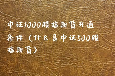 中证1000股指期货开通条件（什么是中证500股指期货）_https://www.liuyiidc.com_恒生指数_第1张