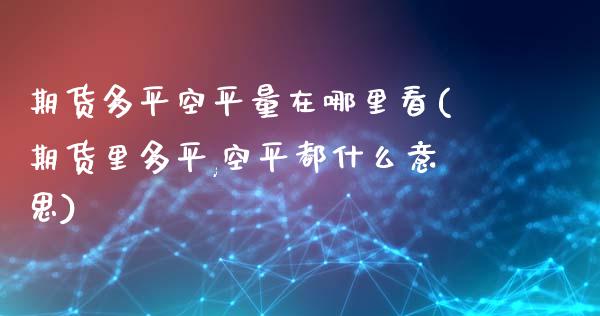 期货多平空平量在哪里看(期货里多平,空平都什么意思)_https://www.liuyiidc.com_期货交易所_第1张