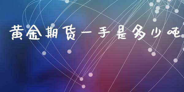 黄金期货一手是多少吨_https://www.liuyiidc.com_黄金期货_第1张